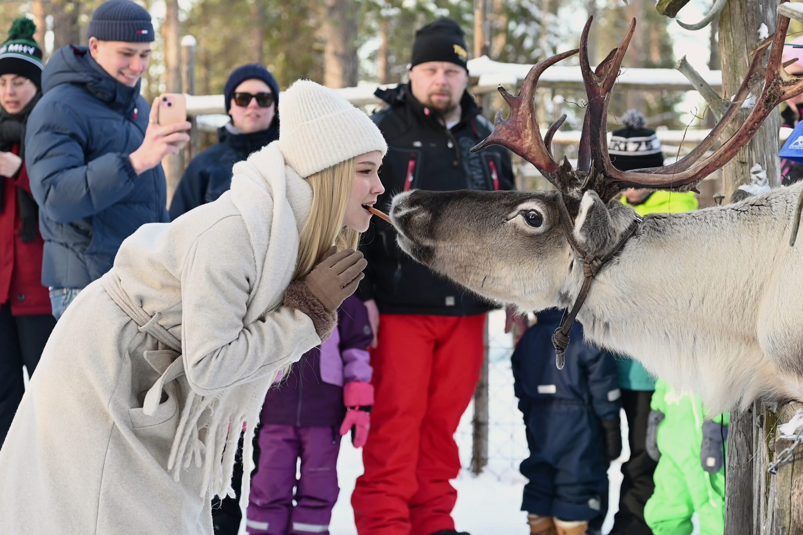 porolleannetaanpusuja